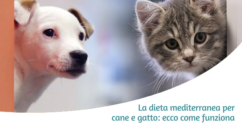 dieta mediterranea per cane e gatto
